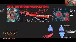 Endocrine physiology-1 د/الشريف