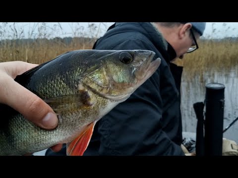 Рыбалка на озере Отрадном