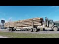 JAKE BRAKING BIG RIGS / Class 8 Big Rigs Jake Braking Hauling Freight Thru The City / /IG RIGS #22