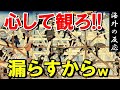 【海外の反応】「日本だけ別格じゃん」 日本の大工たちの圧倒的な技術力に外国人が衝撃【世界のJAPAN】