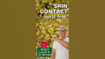 White Wine Winemaking: Skin Contact, Clarity, Fermentation & Oak | WSET L3 in Wines #wset #wine