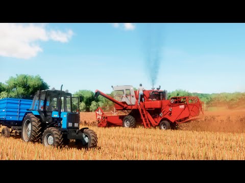 Видео: Farming Simulator 22 / Карта Сосновка / #21 Уборка рапса НИВА СК-5М-1, МТЗ-1025