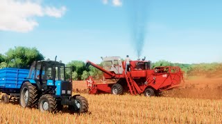 Farming Simulator 22 / Карта Сосновка / #21 Уборка рапса НИВА СК-5М-1, МТЗ-1025