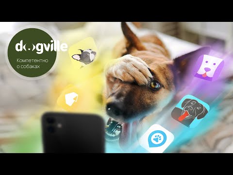 4 ПРИЛОЖЕНИЯ для собачников – Обзор приложений