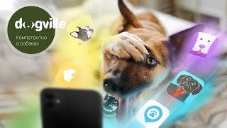 4 APPS for Dog Owners – App Review screenshot 3