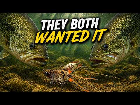 Two Bass, One Fly… These Crayfish Patterns Work