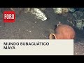 El mundo subterráneo en Yucatán - Las Noticias