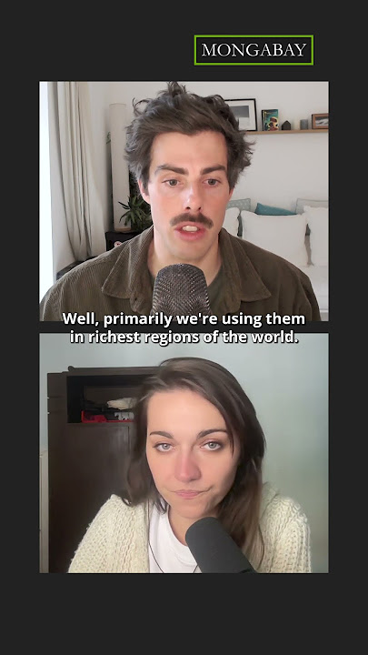 Can 'degrowth' solve our ecological issues?