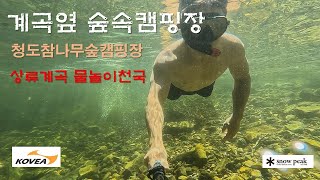 [가족캠핑]계곡옆숲속캠핑장!! 청도참나무숲캠핑장!! 코베아와일드델타와함께!! 계곡스노클링