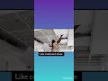 #gypsumboarddesign #viral #home ##design#pop #ceiling 2/2bord office two rooms design
