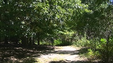 World of Warcraft Dumb Casting Animations