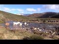 Documental Bajada Ganado del Puerto 9 diciembre