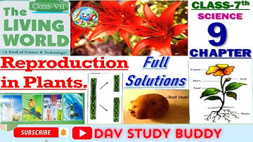 DAV Class 7 Science Chapter 9 Reproduction in Plants question answer # Science Chapter 9 Solutions