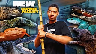 Building The Most Insane Reptile Zoo