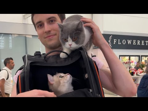How we travel