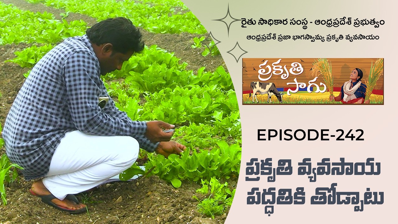 E242 | Поддержка методов органического земледелия