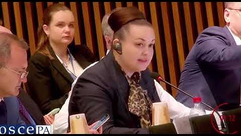 Уровень российских делегатов в ОБСЕ