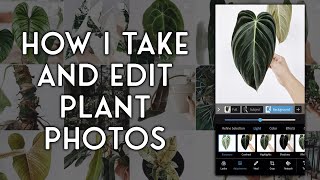 how i take and edit plant photos on my iphone 12 pro screenshot 1