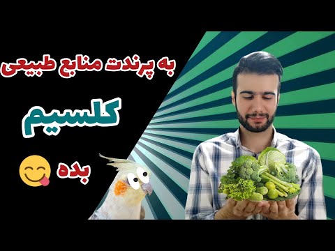 منابع طبیعی کلسیم برای پرندگان زینتی : تغذیه هایی که کلسیم دارن برای عروس هلندی،قناری و تمام پرندگان