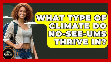 What Type Of Climate Do No-see-ums Thrive In? - Exploring Campgrounds