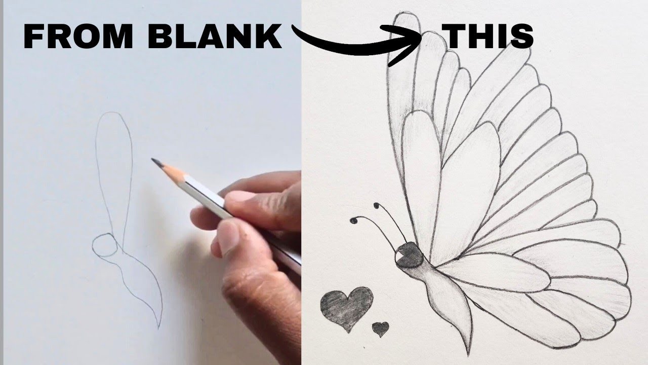 How to draw beautiful butterfly 🦋 | step by step guide to draw butterfly 🦋 | Tiny Tale #3 