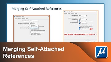Merging Self-Attached References