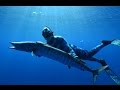 Spearfishing Tonga - Wahoo, Dogtooth Tuna, Job Fish, Mu, whales and sharks