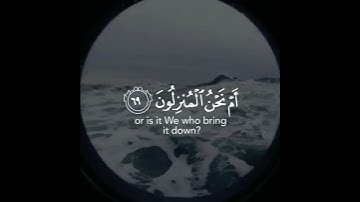 أقر يتم الماء الذي تشربون || احمد النفيس || سورة الواقعة