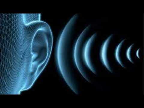 Haber Jenerik Sesi 2 Ses Efekti (Telifsiz ses Efektleri)