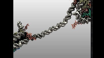 Graphite-LifeExplorer: Gallery