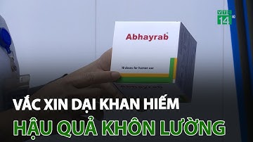 Vắc xin dại khan hiếm: Hậu quả khôn lường | VTC14