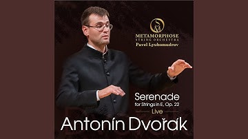 Serenade for Strings in E Major, Op. 22: II. Minuet. Allegro con moto - Trio