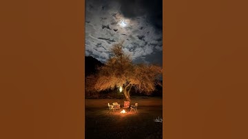 القارئ: عبد الرحمن الحميداني 🍃  أرح سمعك 🥀حالات واتس آب ♻️