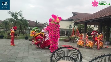 Báo cáo thực tập nghề nghiệp 2 - Nguyễn Thị Mộng Ri - 52947 - AH20A2B