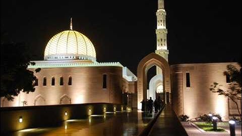 الشيخ وليد ابراهيم سورة البروج بتلاوة عذبة
