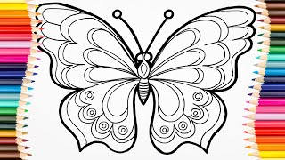 Butterfly Set  How to Draw a Butterfly