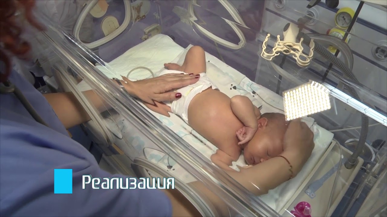 Специалност 