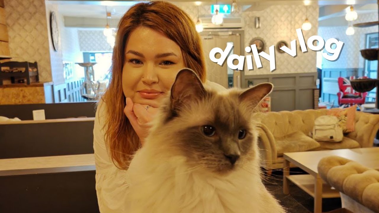 VLOG ❤️ haul Sephora & Shein | frustrari si ganduri | mergem la o cafenea cu pisici