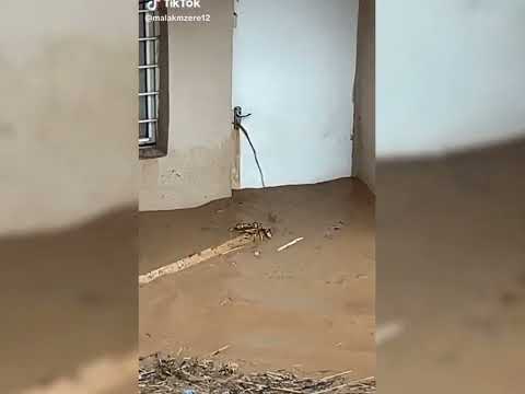 اردوان زاخولي ليلى جاني