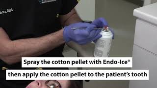 How To Use Endo Ice Dentbear.com
