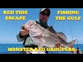 How to Catch Gulf Grouper & Yellowtail Snapper. Escaped Red Tide. Simple & Easy Fishing Techniques.