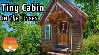 Could you live here Dreamy Tiny House Cabin in the trees
