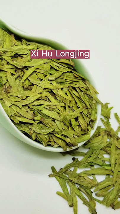 Top 10 Chinese Teas That You Must Try 10款一定要喝的中国茶