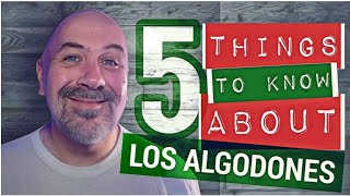 5 Things To Know About Los Algodones Mexico