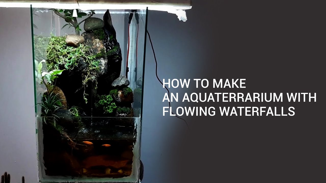 How to make an Aqua terrarium with flowing waterfalls YouTube