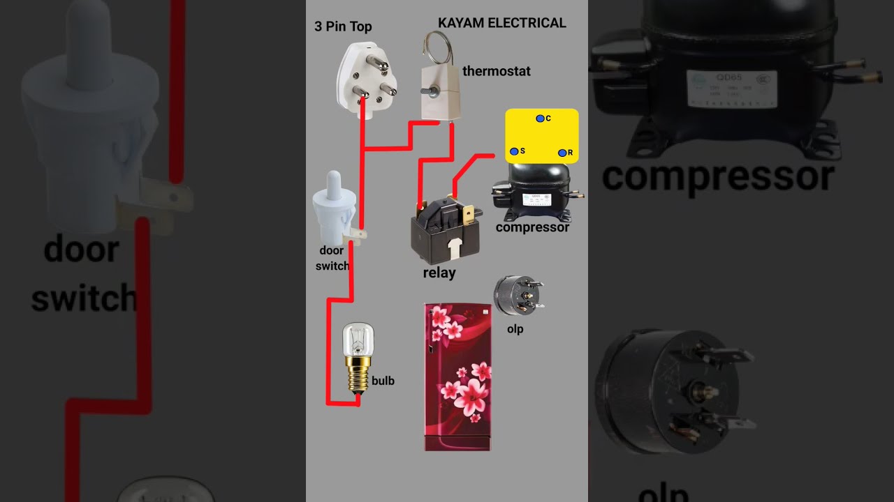 Fridge Wiring Diagram Refrigerator Connection Shorts Youtubeshorts Electricalhousewiring