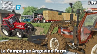 Hay Bales Storing, Spreading Manure & Feeding Animals │La Campagne Angevine│FS 22│Timelapse#16