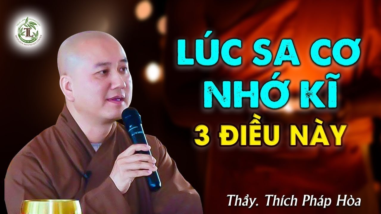 Khi gặp nghịch cảnh nhớ 3 ĐIỀU NÀY để Vượt Khổ - Thầy Thích Pháp Hòa