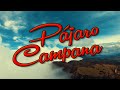 Cuerdas Colombianas - Pajaro Campana