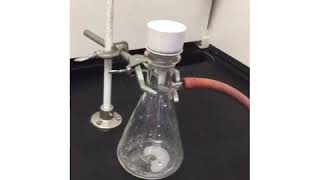 Isolation of Benzyl Acetone